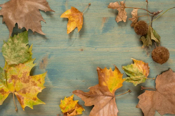 Herbstblätter über Holzgrund mit Kopierraum — Stockfoto