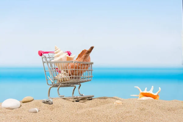 Nyári dedikálások, vásárlás utazás. Kosár a strandon — Stock Fotó