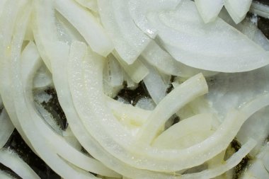 Arka planda soyut şekli, makro fotoğrafçılık. Soğan dilimleri