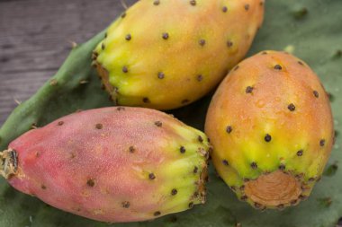 Taze olgun tüm Hint inciri ahşap vin üzerinde bitkisinin yaprağı