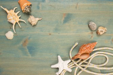 Yaz arka plan ağaç kabuğu ve ip, kopya alanı ile on