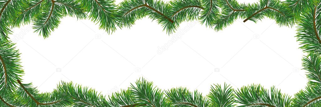 Christmas background with fir branches. Vector illustration with