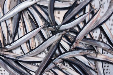 Catania, Sicilya, İtalya. İğne balığı, tipik Akdeniz deniz feneri.