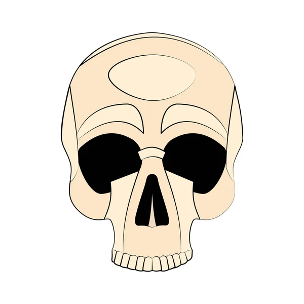 Значок людського черепа — стоковий вектор