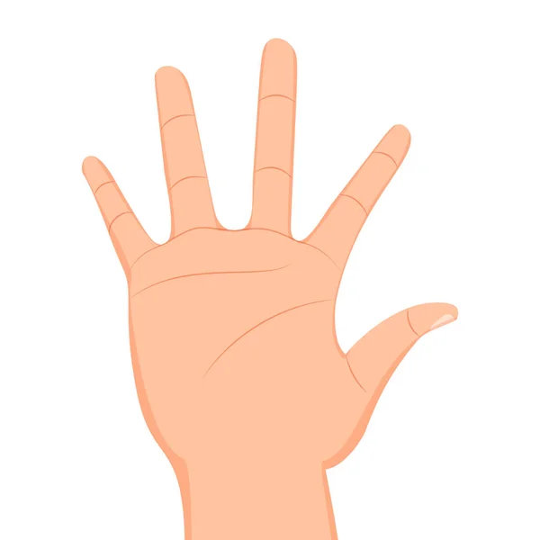 Set of several hands. — Stock Vector
