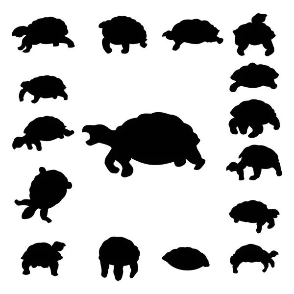 Set silhouette tartaruga — Vettoriale Stock