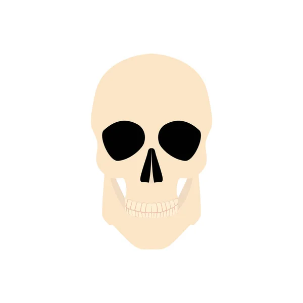 图标的人类头骨 — 图库照片
