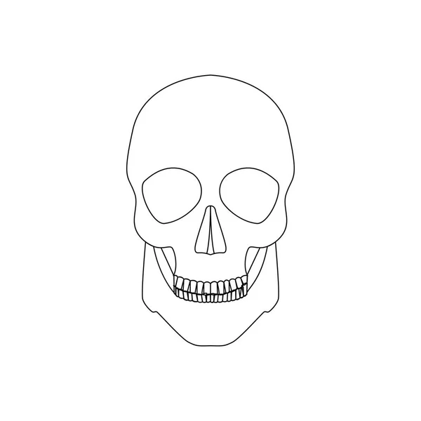Icona cranio umano — Foto Stock