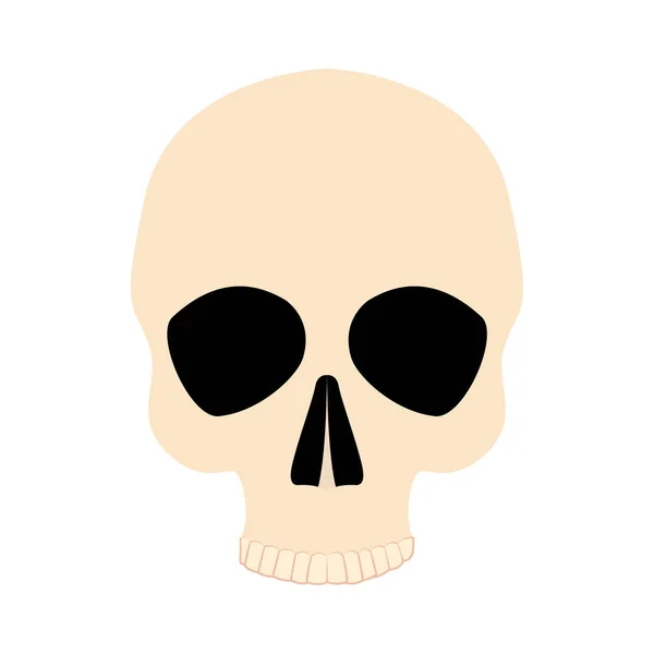 Иконный череп человека — стоковое фото