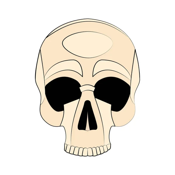 Icon human skull — Stock Photo, Image