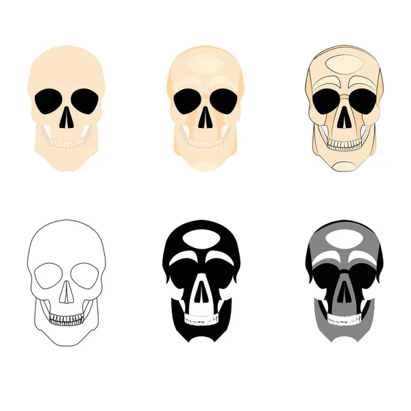 Collection icons human skulls logo in various styles, silhouette, line, color, simple, monochrome — Stock Photo, Image