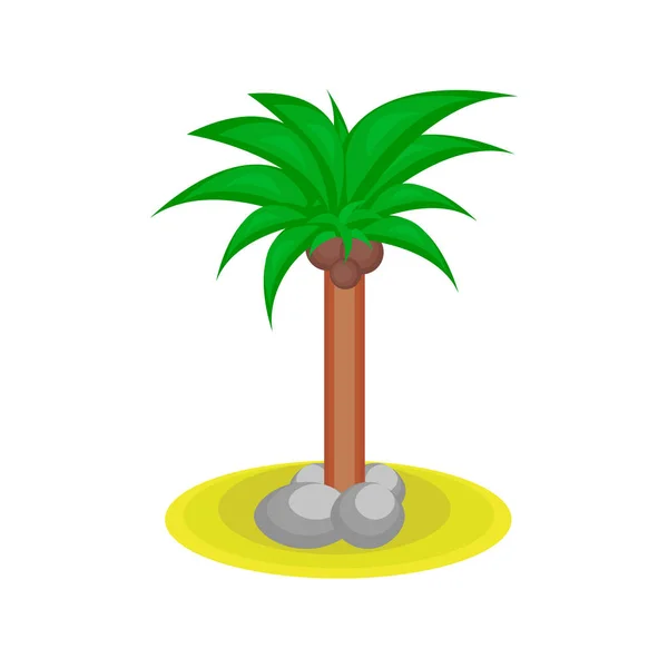 Cartoon palmboom met kakos — Stockvector