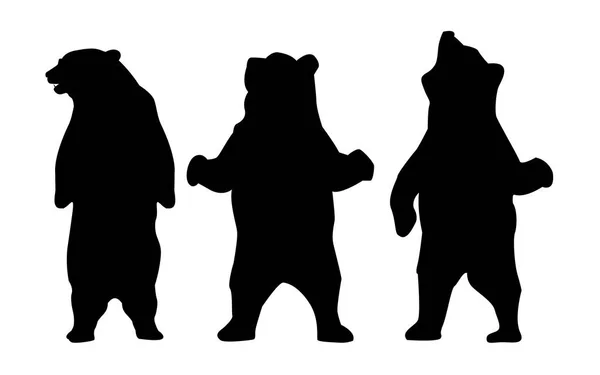 Urso silhueta animal —  Vetores de Stock