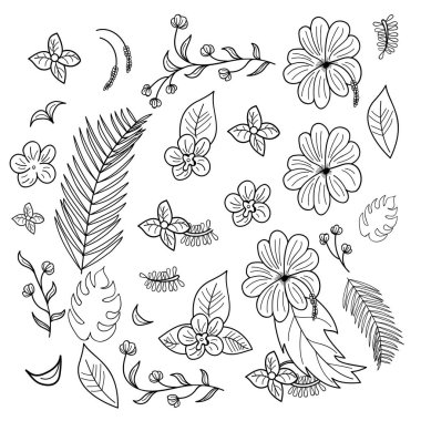 Elle çizilmiş dallar ve tropik bitkilerin yaprakları.