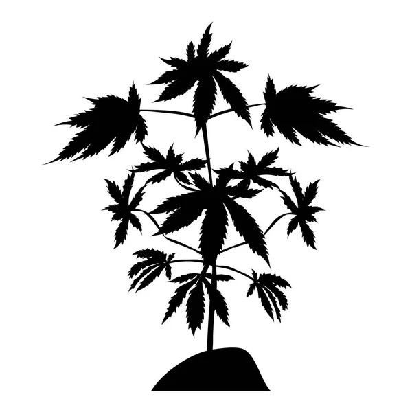 Silhouette della pianta di marijuana — Vettoriale Stock