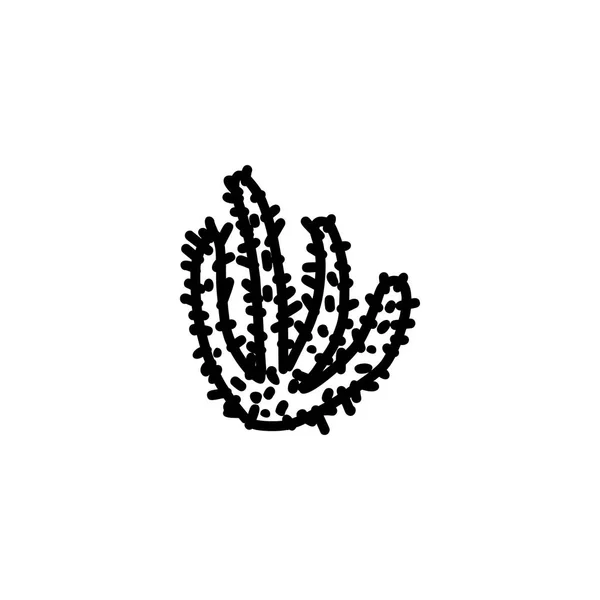 Ícone desenhado à mão de cacto — Vetor de Stock