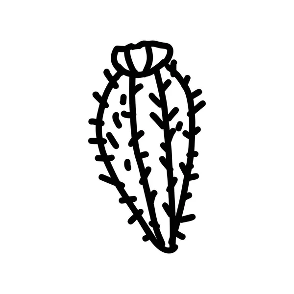 Icona disegnata a mano in cactus — Vettoriale Stock