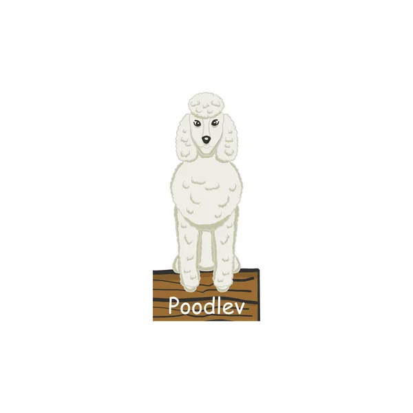 Icône chien dessin animé Poodlev — Image vectorielle