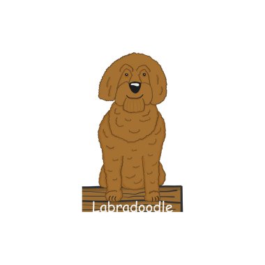 Labradoodle karikatür köpek simgesi