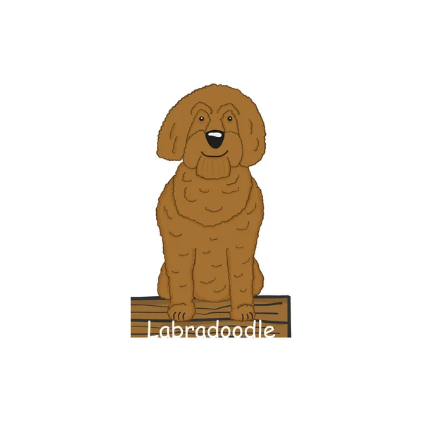 Labradoodle tecknad hund ikonen — Stock vektor