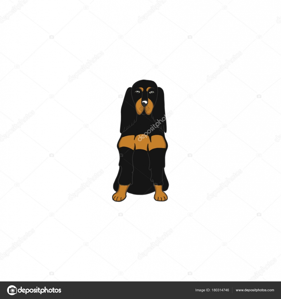 Icône De Chien Setter Gordon Dessin Animé Image