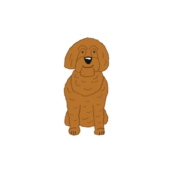 Labradoodle cartoon dog ikona — Stockový vektor