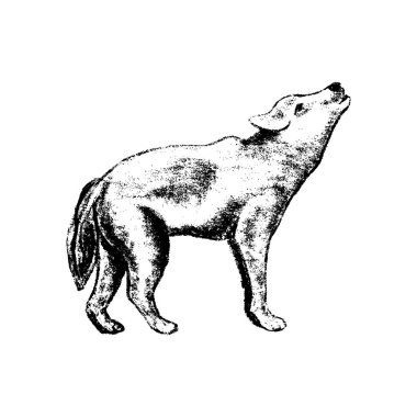 Kurt simgesi grunge tarzı 