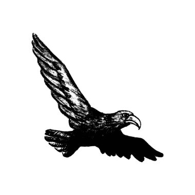 Kartal grunge stil ikonu 