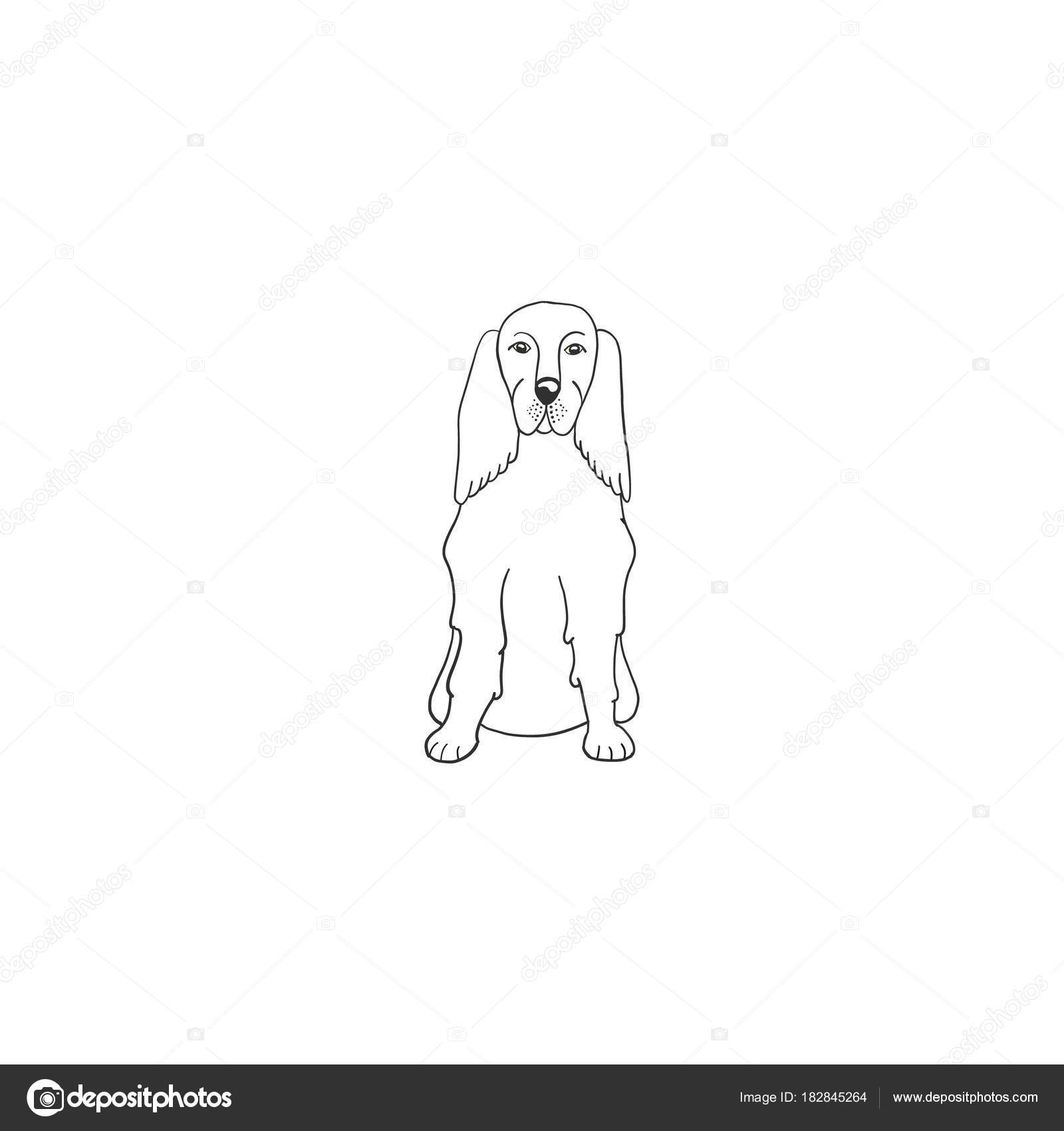 Icône De Chien Setter Gordon Dessin Animé Image