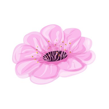 Sakura Pembe çiçek