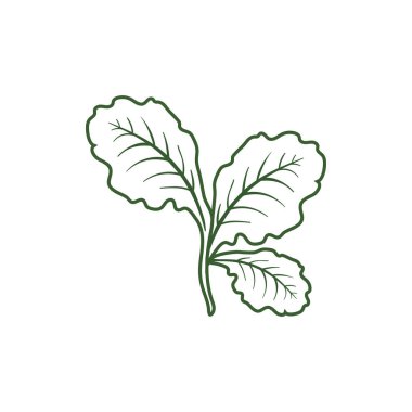 yaprak marul simgesi 