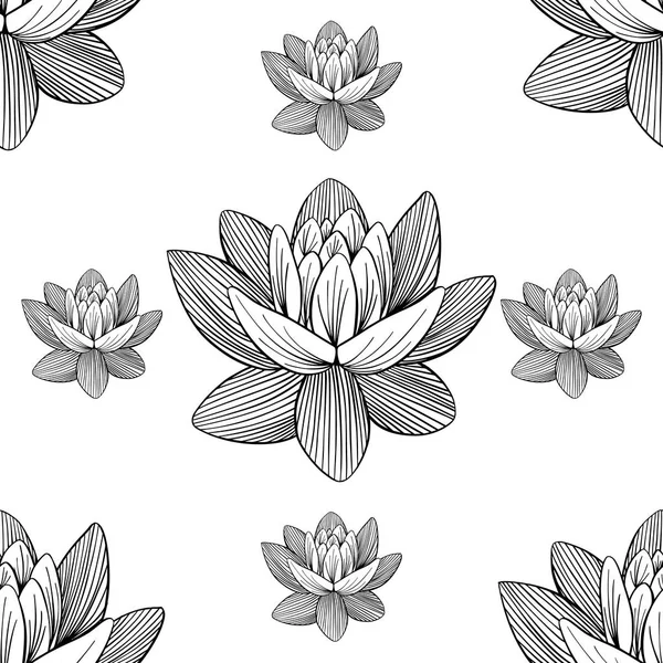 Lotus lily water pattern — Stock Vector