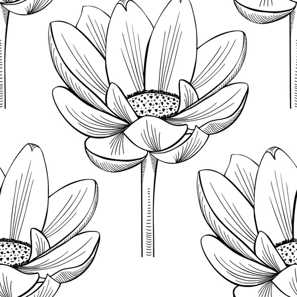 Lotus lily water pattern — Stock Vector