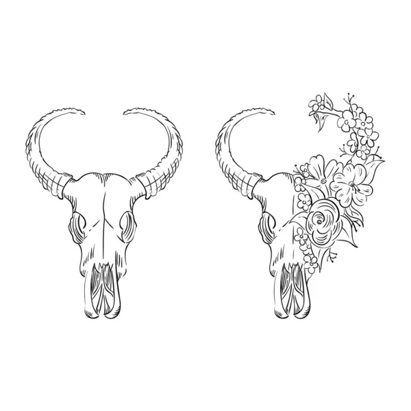 Skull of a buffalo with horns. Tropical flowers. The effect of ink drawing. — Stock vektor