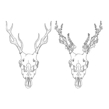 Deer skull with flowers. Vector element for tattoo sketch, printing on T-shirts.