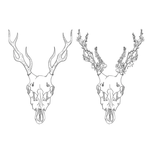 Deer skull with flowers. Vector element for tattoo sketch, printing on T-shirts. — 图库矢量图片