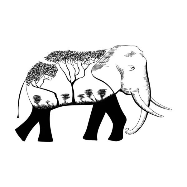 Elefante diseño naturaleza salvaje concepto de África en pleno crecimiento, avanzando — Vector de stock