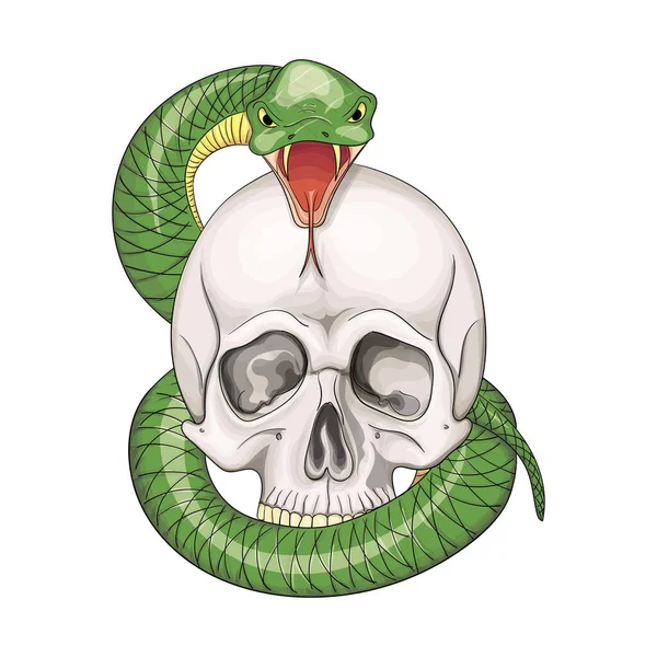 Met de hand getekend menselijke schedel verstrengeld door slang. Vectorillustratie — Stockvector