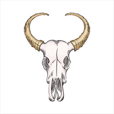 Boynuzları eski moda olan bir bizonun kafatası çizilmiş..