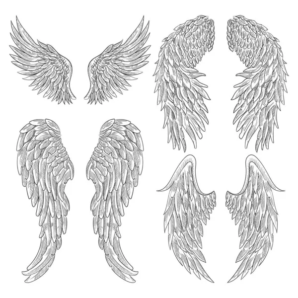 入れ墨やマスコットのデザインのために設定された紋章の翼. — ストックベクタ