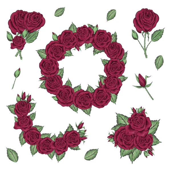 Hand drawn set of roses, rose buds and wreath — Stock Vector