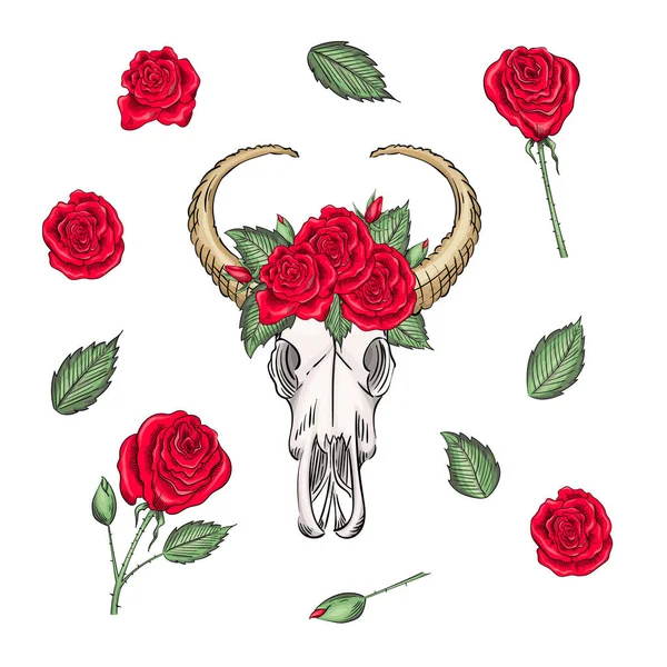 Bohemian vector western mystical ox skull, print rose flowers and knives. buffalo bohemian head, western vintage animal. — Stock Vector