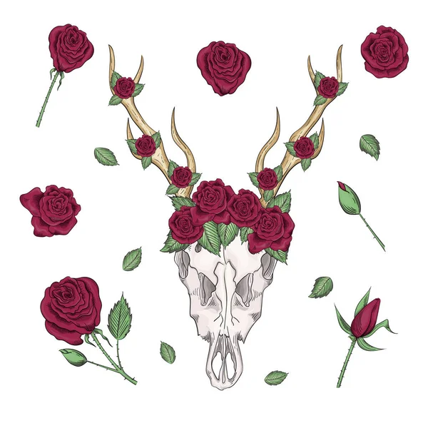 Bohemian vector western mystical deer skull, print rose flowers. Deer bohemian head, western vintage animal. bohemian hipster design print. — Stock Vector