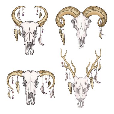Batı mistik tüyleri olan vahşi hayvanların kafatasları koleksiyonu. bohem kafa, batı bağbozumu hayvan.