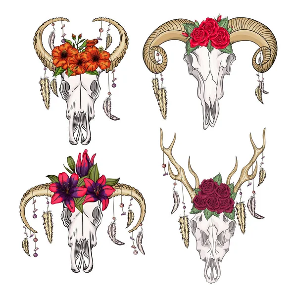 Колекція черепів диких тварин з пір'ям і квітами містична. богемна голова, західна старовинна тварина . — стоковий вектор