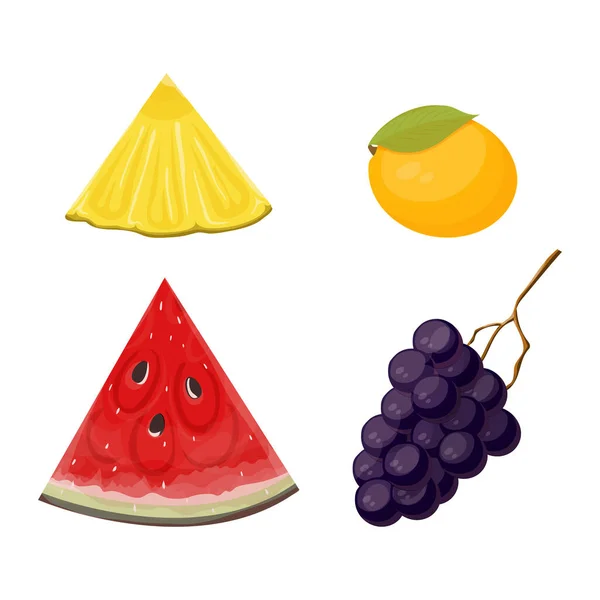Скибочки і цільний фруктовий ананас, кавун, манго і виноградний набір — стоковий вектор