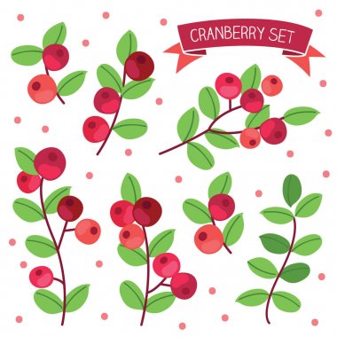 Olgun kızılcık seti