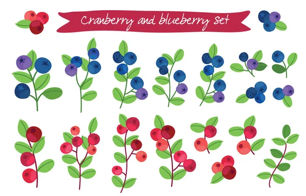 Cranberry dan blueberry set - Stok Vektor