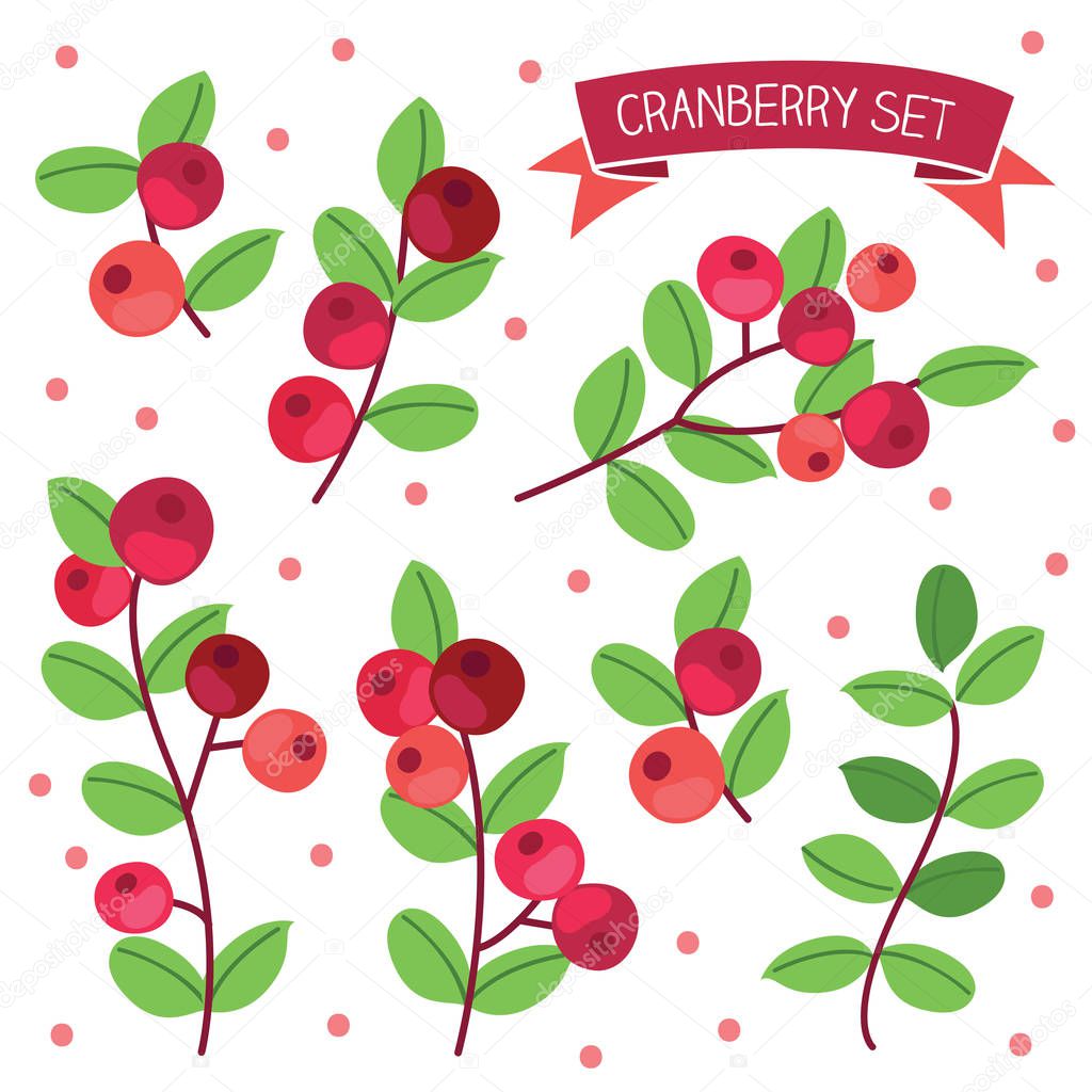 Ripe cranberries set