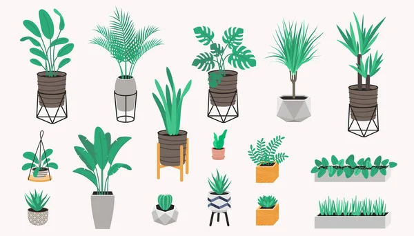 Potted plants collection in a loft style. Succulents, cactus and house plants. Set of house indoor plant vector — Stock Vector